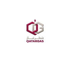 客戶(hù)16 QATAR GAS